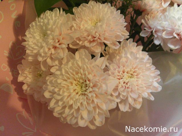 Eva1949 - Дом мечты-души моей воспоминания; 1Abrikoska - Мой гостеприимный дом