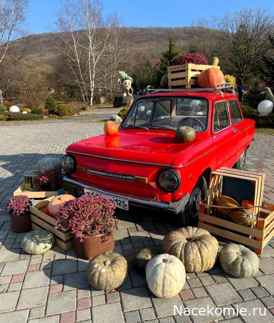 Автолегенды вживую