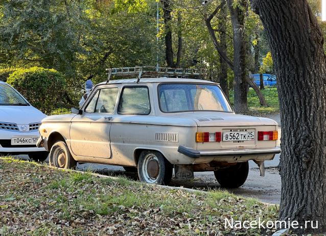 Автолегенды вживую