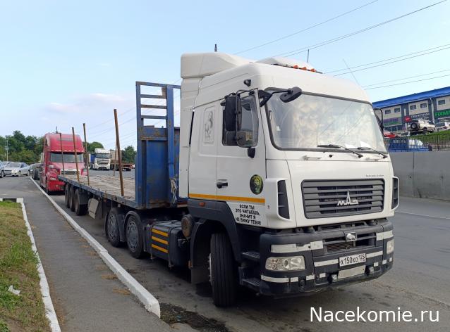 Автолегенды вживую