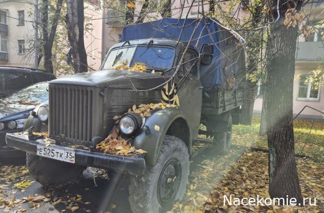 Автолегенды вживую