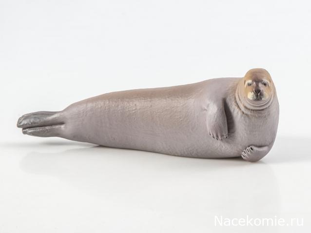 Дикие животные России (MODIMIO)