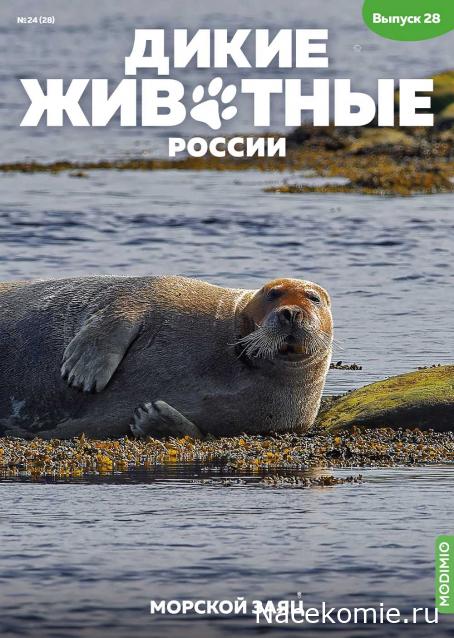 Дикие животные России (MODIMIO)