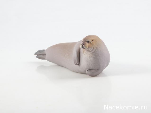 Дикие животные России (MODIMIO)