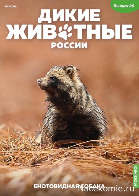 Дикие животные России (MODIMIO)