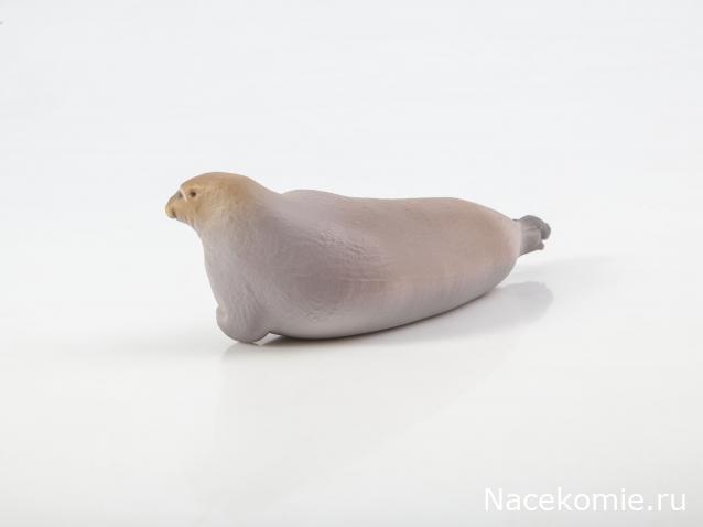 Дикие животные России (MODIMIO)