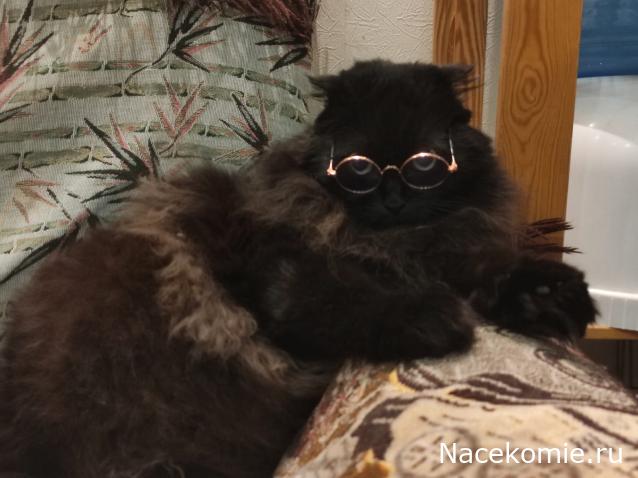 100 крестиков!