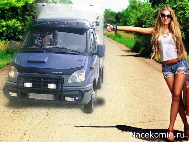 Праздник каждый день - поздравлялка Авторазделов