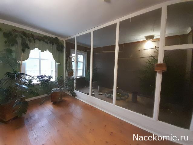 Усадьбы России: судьбы, архитектура, вдохновение