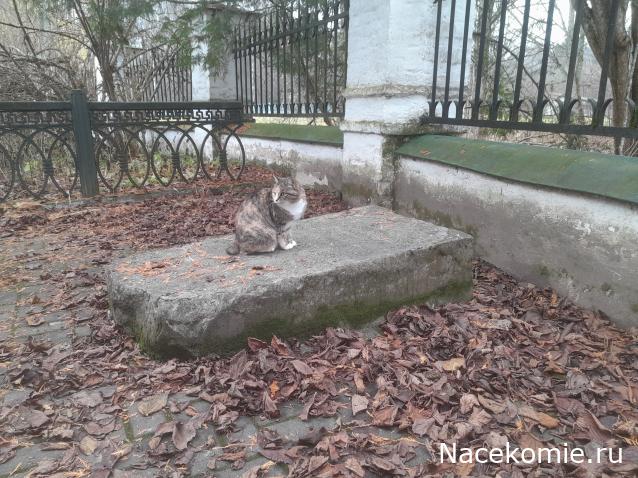 Усадьбы России: судьбы, архитектура, вдохновение