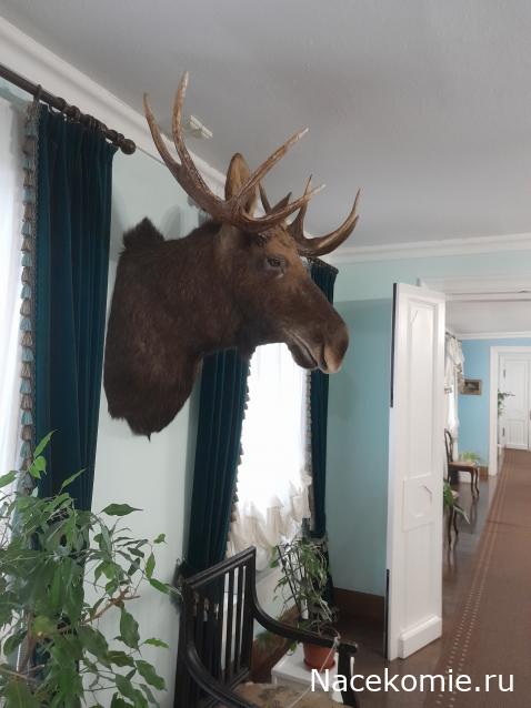 Усадьбы России: судьбы, архитектура, вдохновение