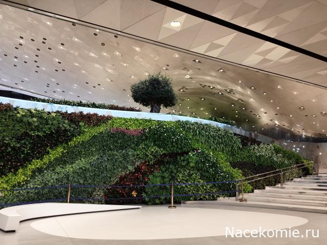 Мой любимый город или дорогие сердцу места