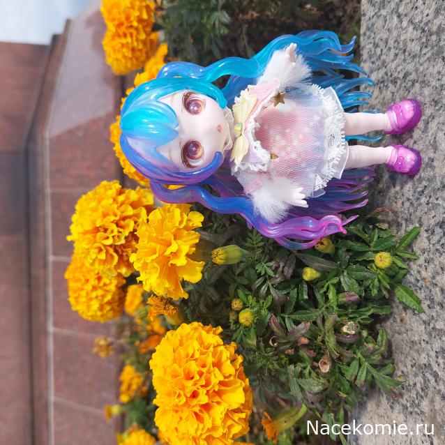 olga63- не знаю что получится