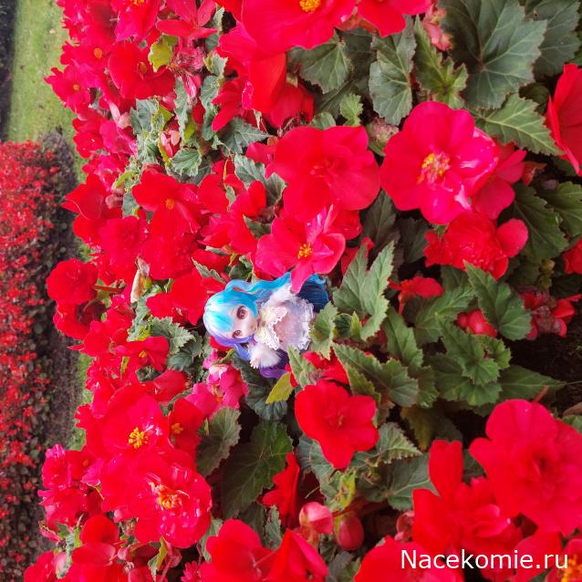 olga63- не знаю что получится