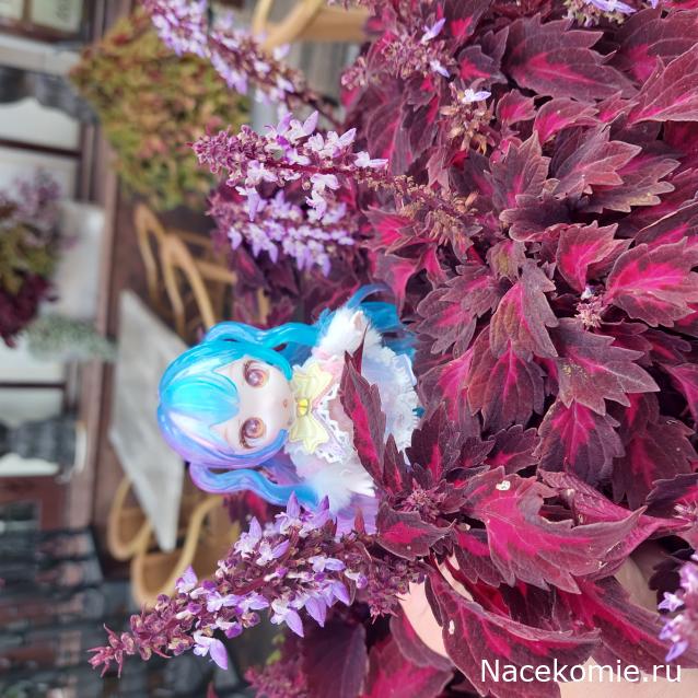 olga63- не знаю что получится