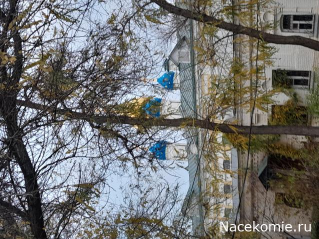 Liana65-Snegana - Мой будущий дом и его обитатели.