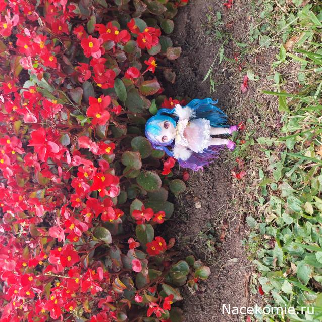 olga63- не знаю что получится