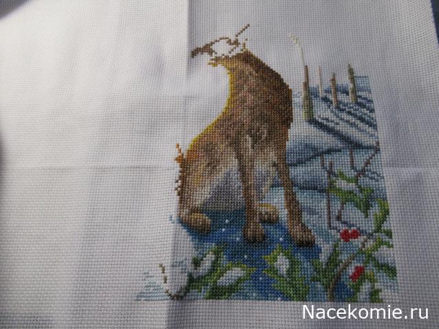 100 крестиков!