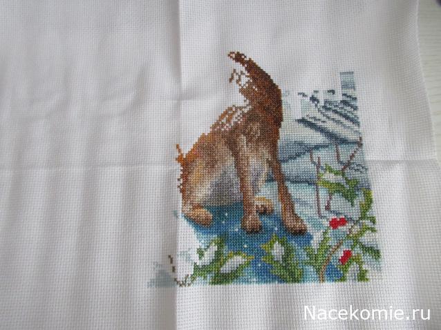 100 крестиков!