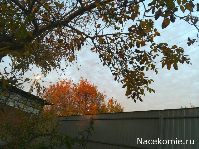 Eva1949 - Дом мечты-души моей воспоминания; 1Abrikoska - Мой гостеприимный дом