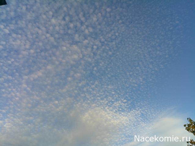 Eva1949 - Дом мечты-души моей воспоминания; 1Abrikoska - Мой гостеприимный дом