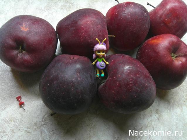 Eva1949 - Дом мечты-души моей воспоминания; 1Abrikoska - Мой гостеприимный дом