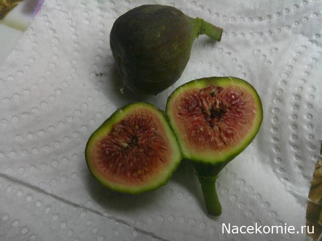 Eva1949 - Дом мечты-души моей воспоминания; 1Abrikoska - Мой гостеприимный дом