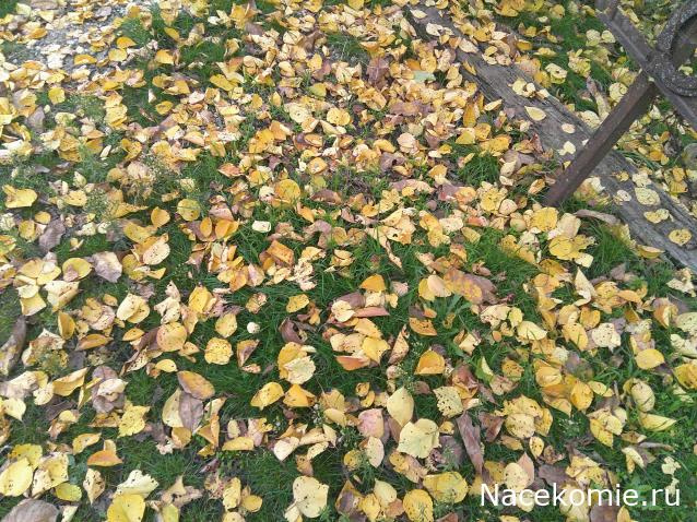 Eva1949 - Дом мечты-души моей воспоминания; 1Abrikoska - Мой гостеприимный дом