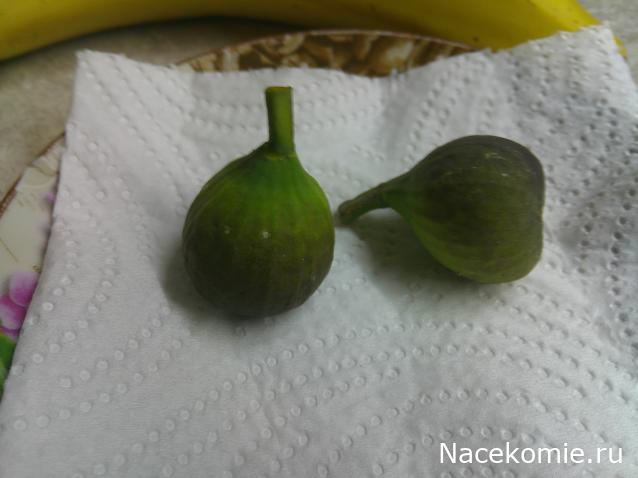 Eva1949 - Дом мечты-души моей воспоминания; 1Abrikoska - Мой гостеприимный дом