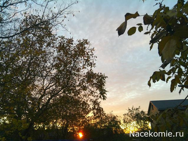 Eva1949 - Дом мечты-души моей воспоминания; 1Abrikoska - Мой гостеприимный дом