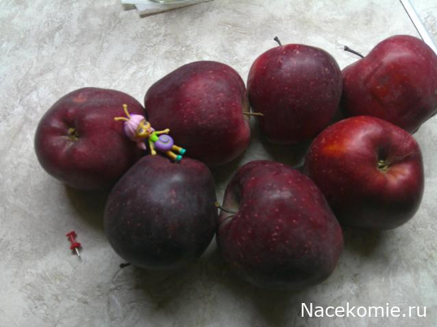 Eva1949 - Дом мечты-души моей воспоминания; 1Abrikoska - Мой гостеприимный дом