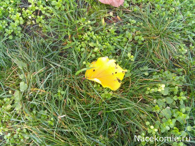 Eva1949 - Дом мечты-души моей воспоминания; 1Abrikoska - Мой гостеприимный дом