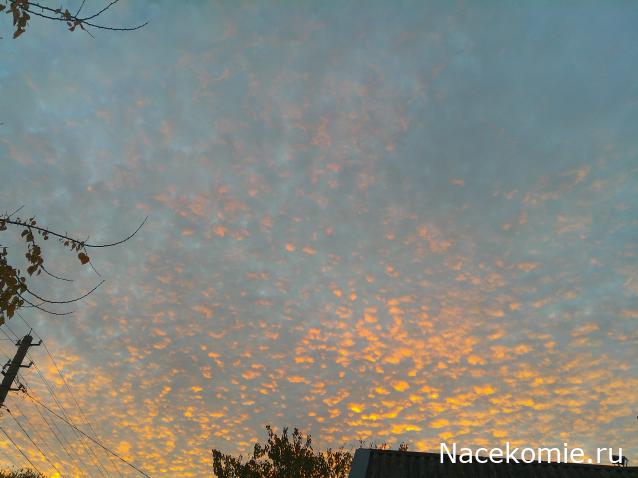 Eva1949 - Дом мечты-души моей воспоминания; 1Abrikoska - Мой гостеприимный дом