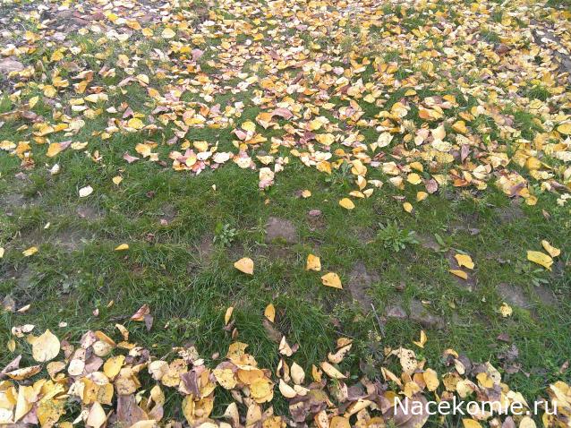 Eva1949 - Дом мечты-души моей воспоминания; 1Abrikoska - Мой гостеприимный дом