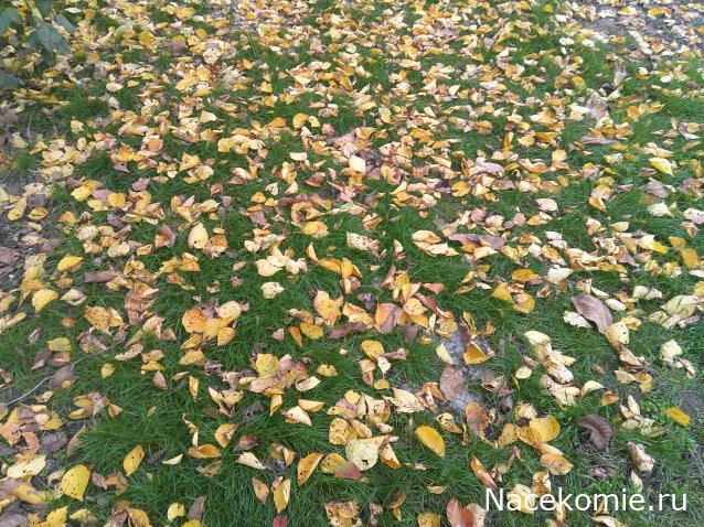 Eva1949 - Дом мечты-души моей воспоминания; 1Abrikoska - Мой гостеприимный дом