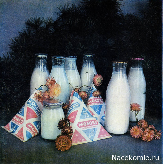 Вперёд в прошлое!