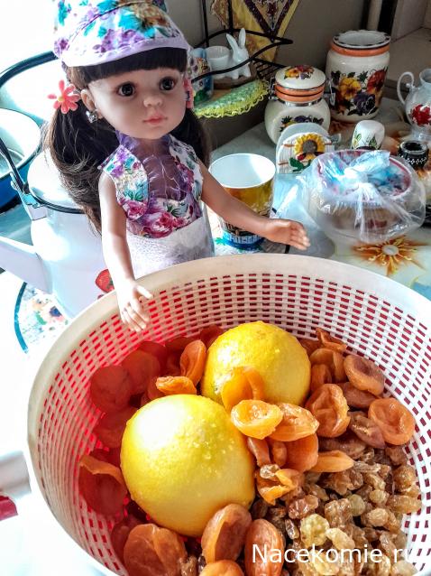 Liana65-Snegana - Мой будущий дом и его обитатели.