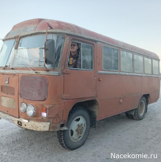 Околоавтобусная болталка