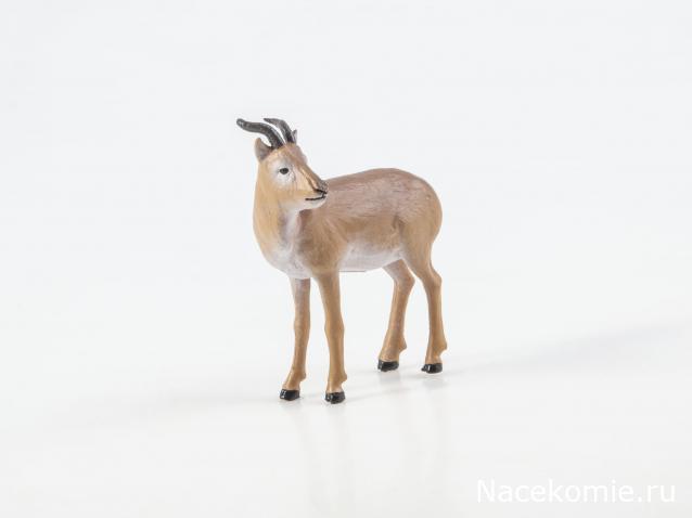 Дикие животные России (MODIMIO)