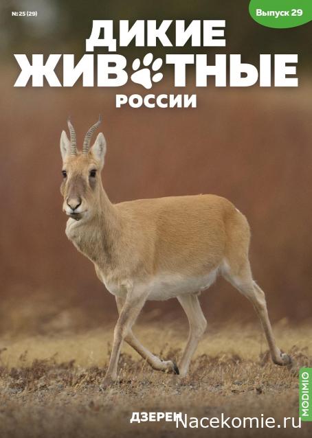 Дикие животные России (MODIMIO)