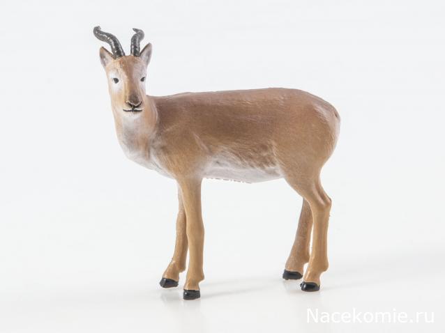 Дикие животные России (MODIMIO)