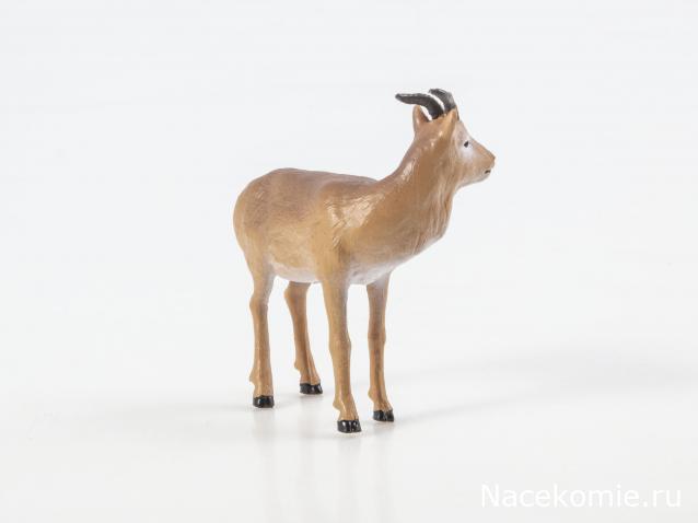 Дикие животные России (MODIMIO)