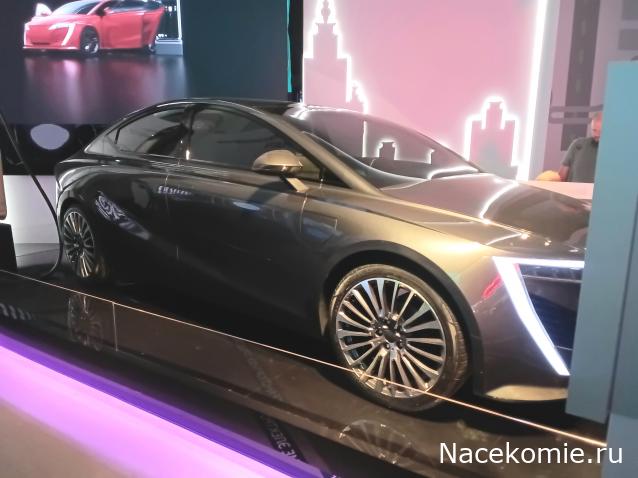 Автолегенды вживую