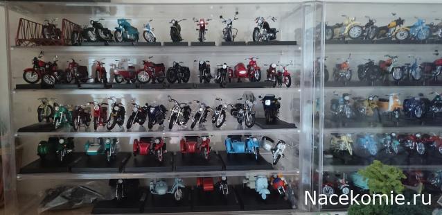 Мотоциклетная болтанка