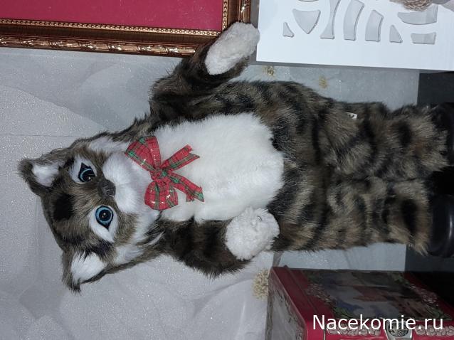 Liana65-Snegana - Мой будущий дом и его обитатели.