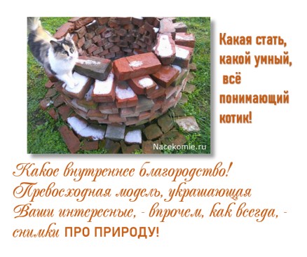 Eva1949 - Дом мечты-души моей воспоминания; 1Abrikoska - Мой гостеприимный дом