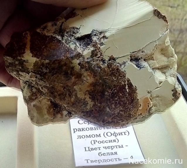 Камни и Минералы. Тайны Недр №19 - Серпентин