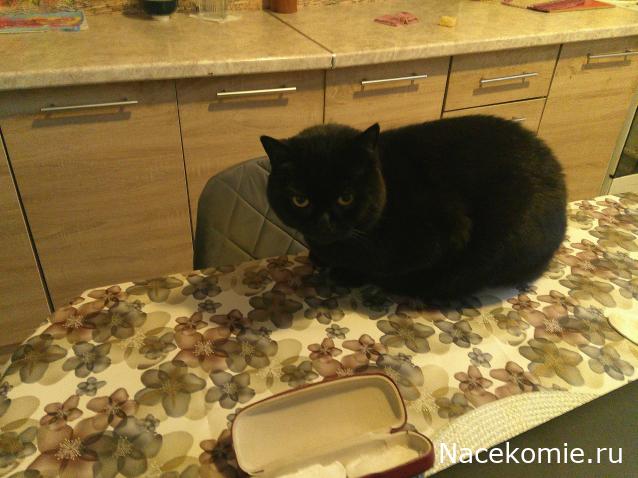 Eva1949 - Дом мечты-души моей воспоминания; 1Abrikoska - Мой гостеприимный дом