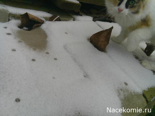 Eva1949 - Дом мечты-души моей воспоминания; 1Abrikoska - Мой гостеприимный дом