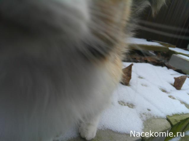 Eva1949 - Дом мечты-души моей воспоминания; 1Abrikoska - Мой гостеприимный дом